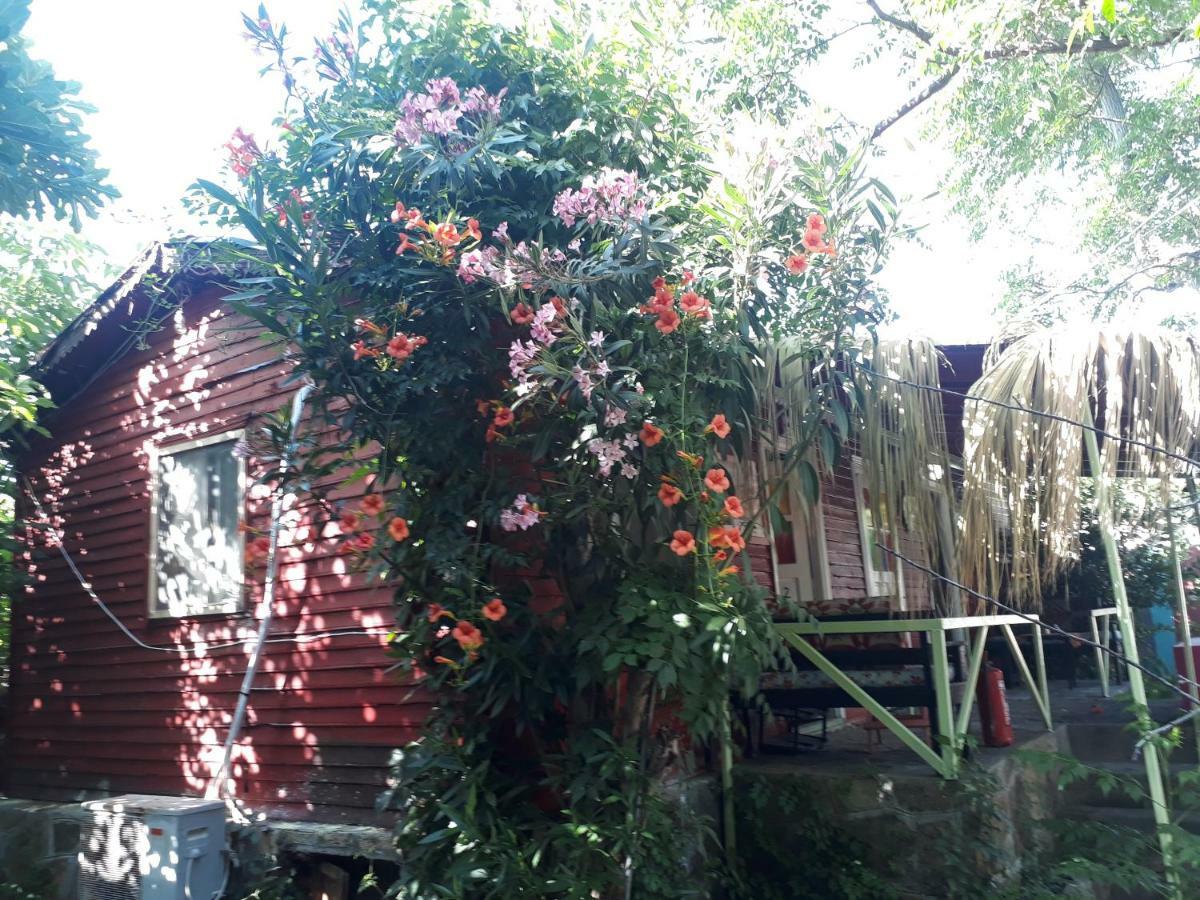 Side Tuana Garden Home מראה חיצוני תמונה